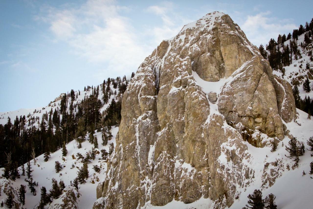 Wildflower 55 Mammoth Lakes Exterior foto